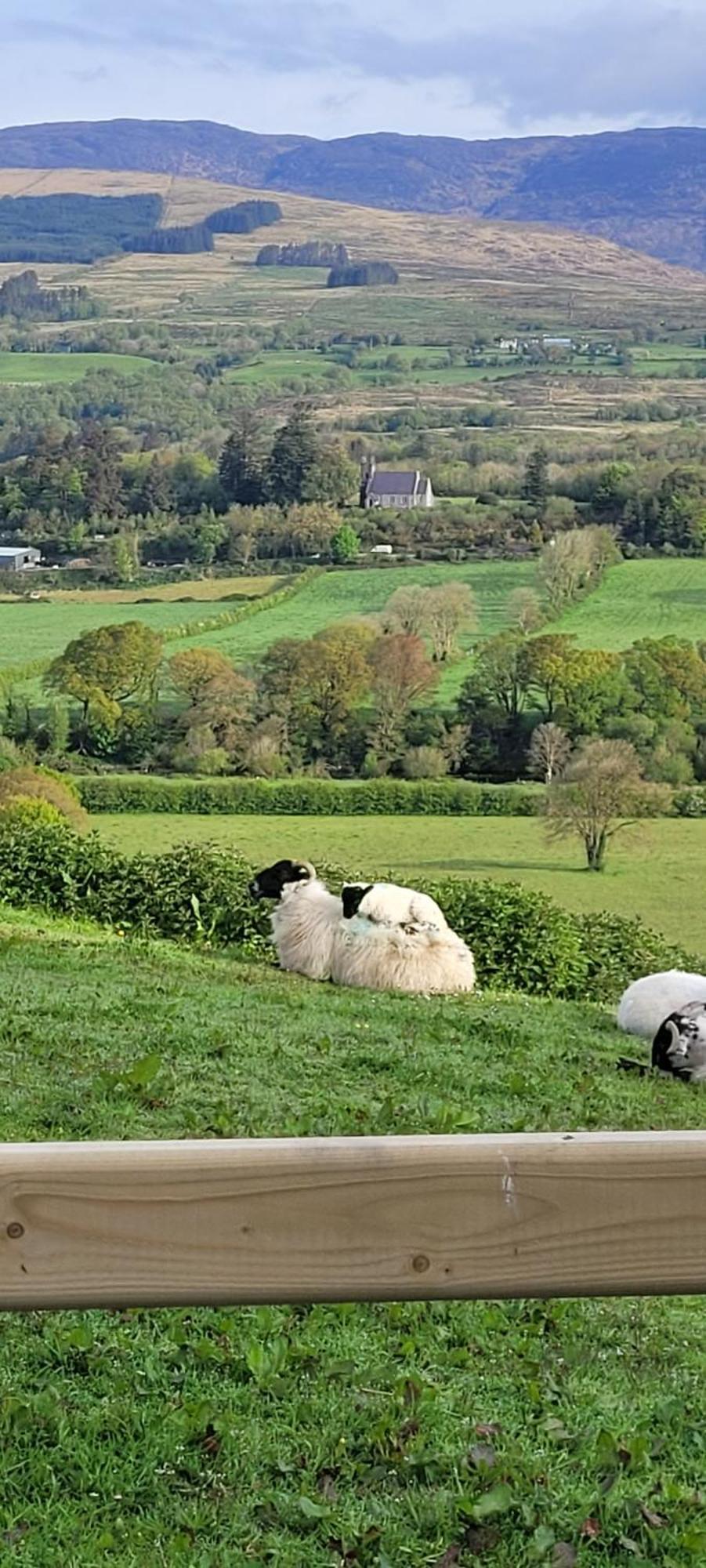 Country Suite - Spectacular Views Kilgarvan Exterior foto
